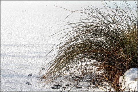 la neige